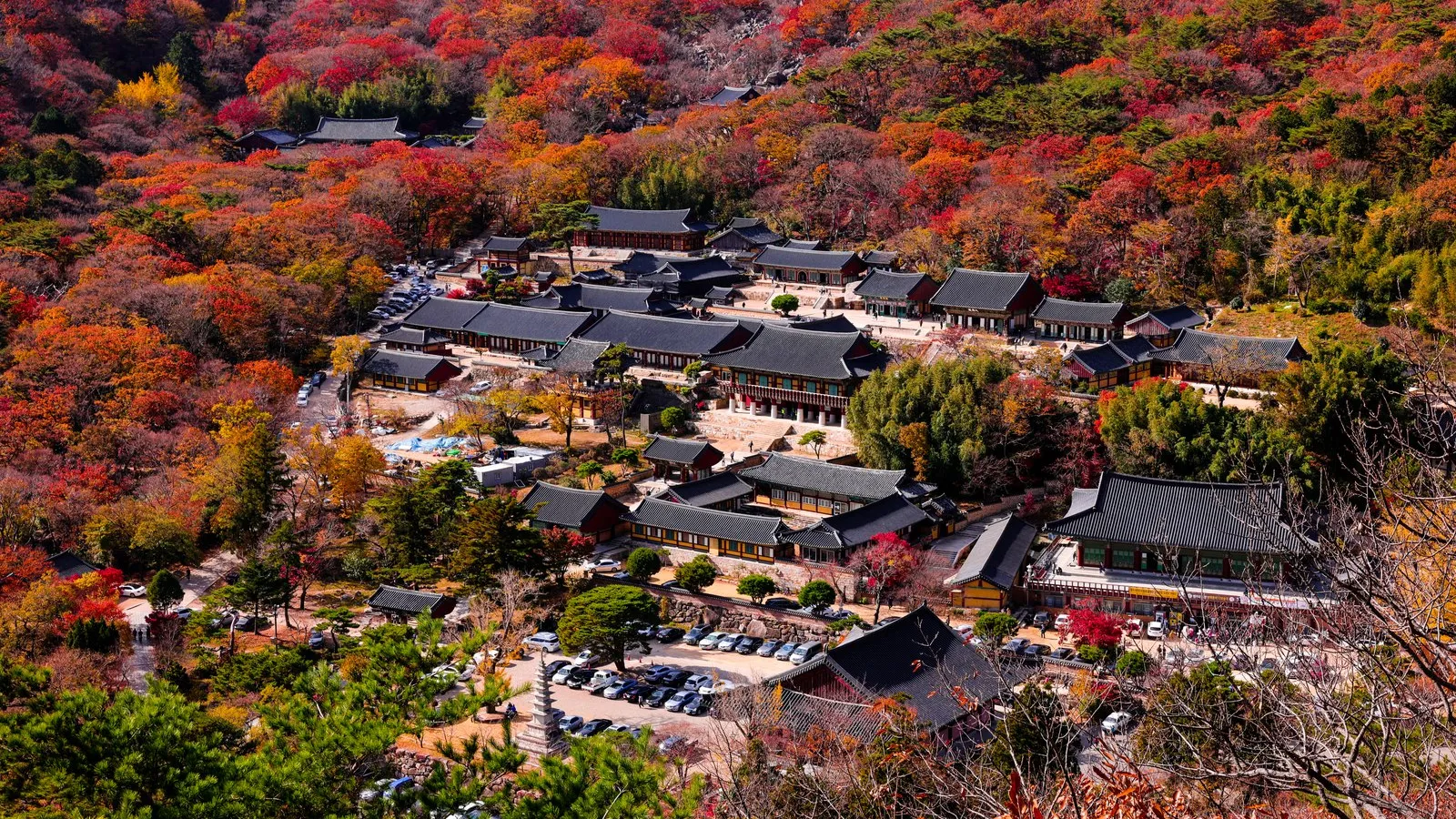 가을 단풍이 붉게 물든 금정산과 범어사 사찰 전경