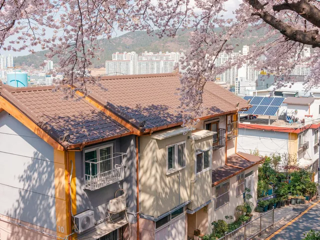 Haedong Yonggungsa Temple's traditional buildings and bridge over rocky coastal cliffs