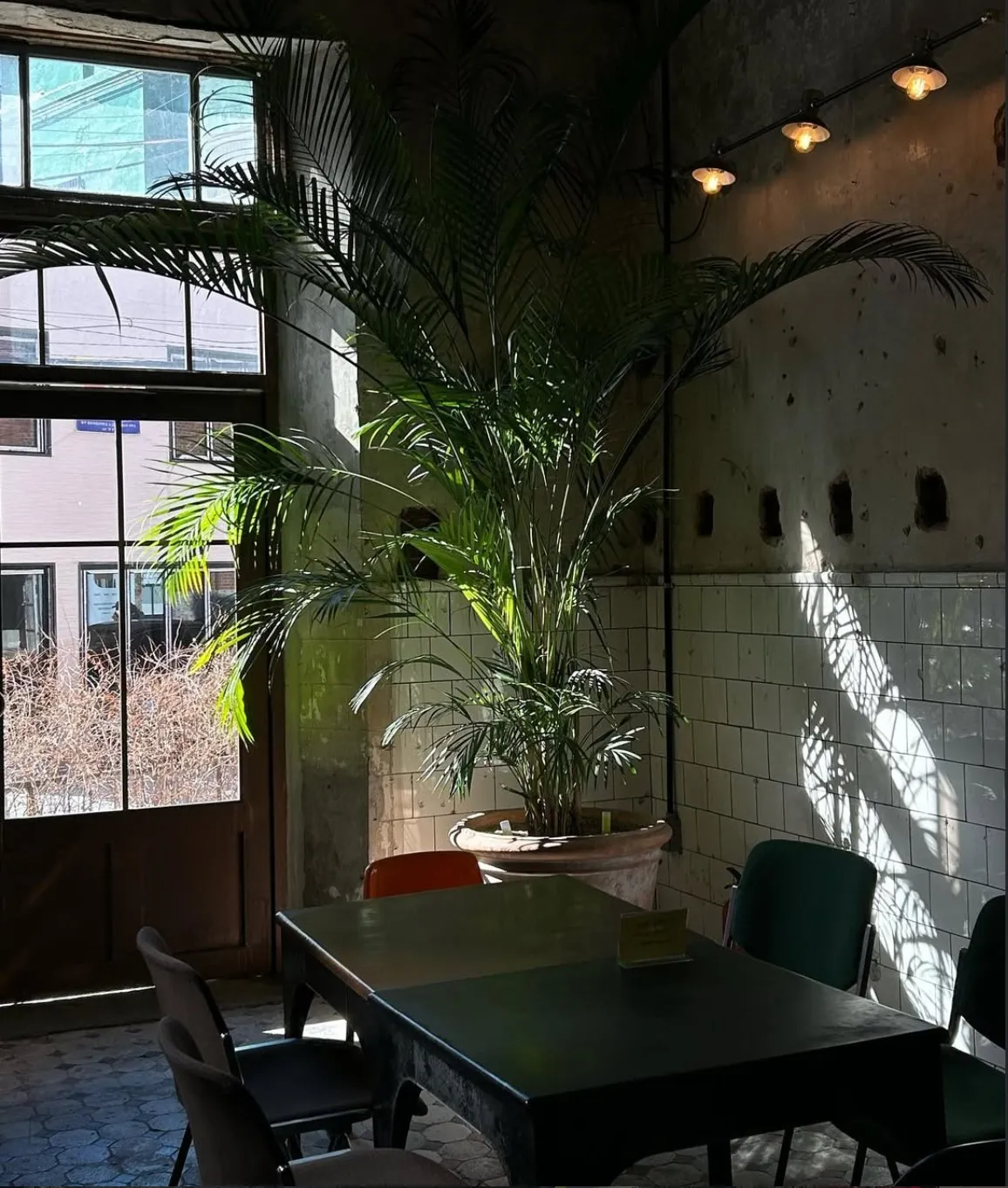 Brown Hands Baekje's industrial-style interior with plants