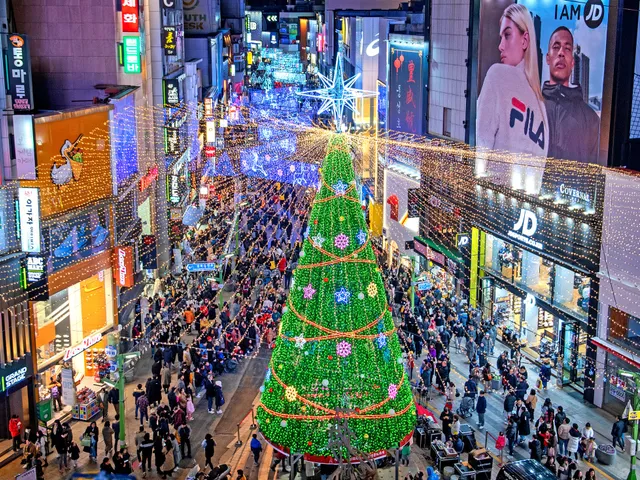 남포동 광복로에 점등된 대형 크리스마스 트리 조명