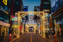 被華麗燈飾點亮的釜山冬季燈節街道