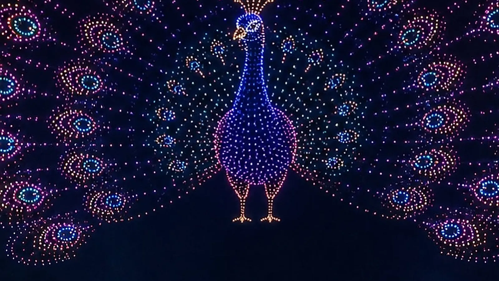広安大橋の前の夜空に図柄を描くドローンライトショー