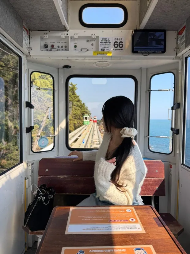 해안 궤도를 달리는 해운대 블루라인파크의 알록달록한 스카이캡슐