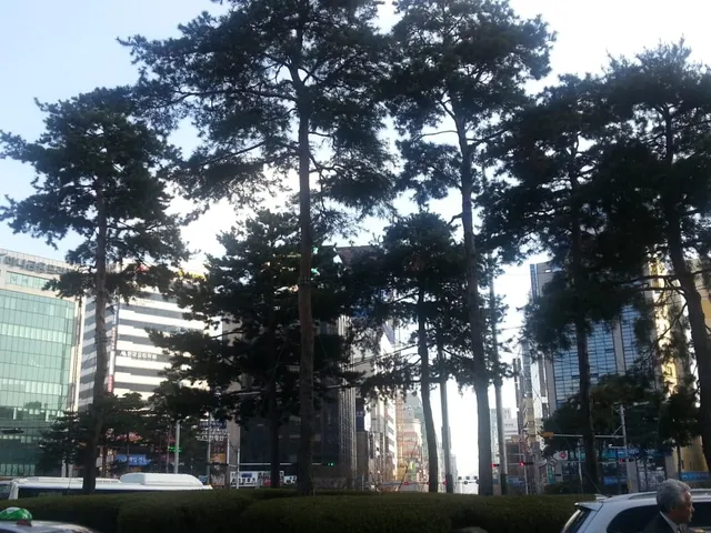 A Seomyeon downtown street lined with trees and high-rise buildings