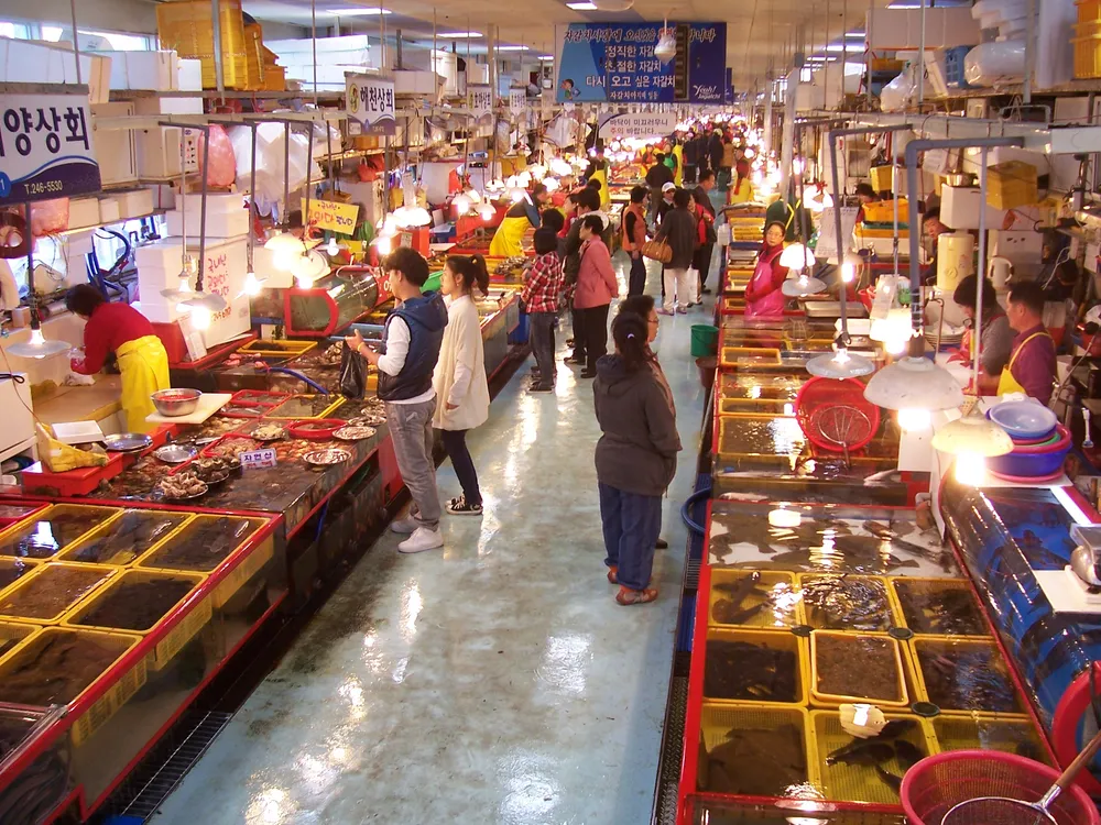 Inside Jagalchi Fish Market's seafood sales floor, Busan