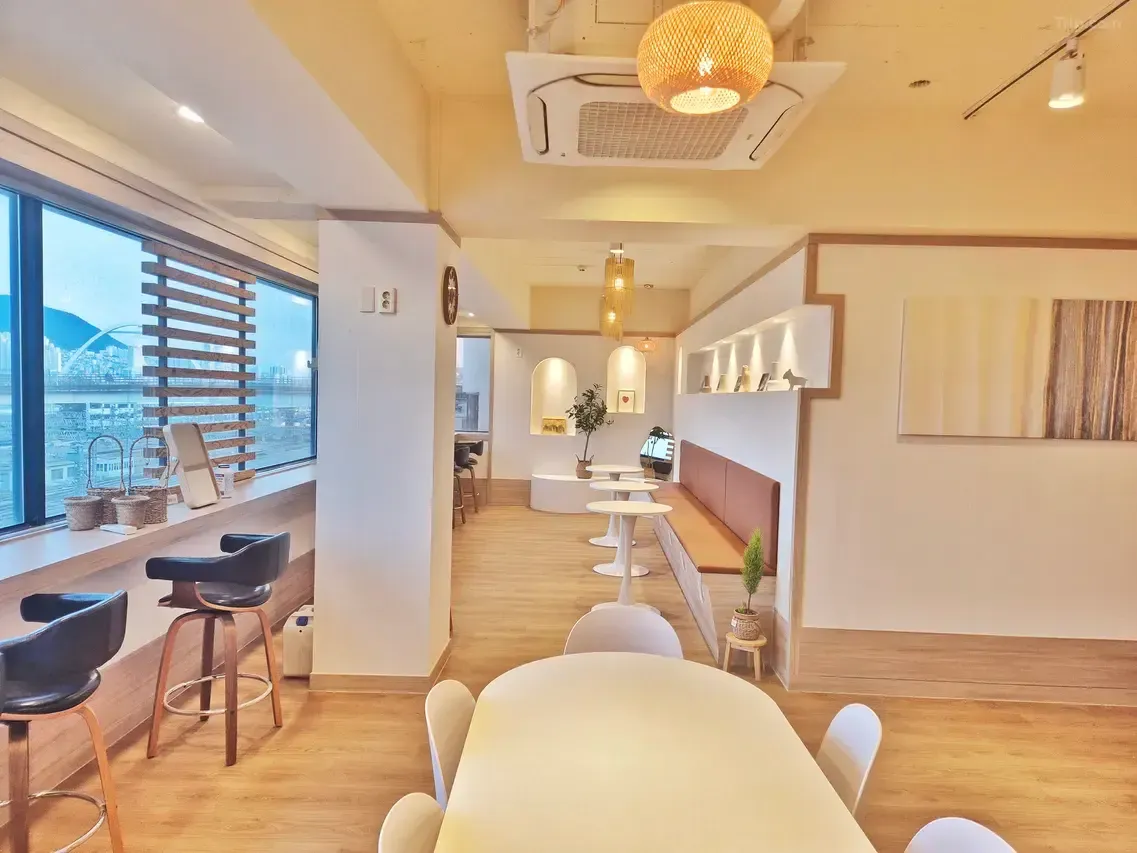 Bright window seating and lounge space in a Busan guesthouse common area