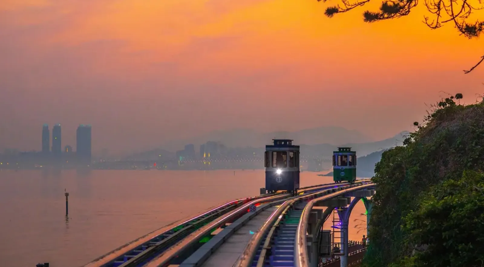 Busan Night Tour Comparison: Sky Capsule Night View vs Photographer-Led Night Tour